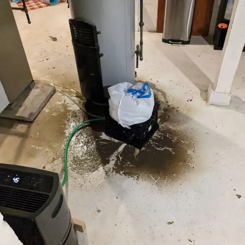 Sewage Backup Cleanup Service in Centre, AL